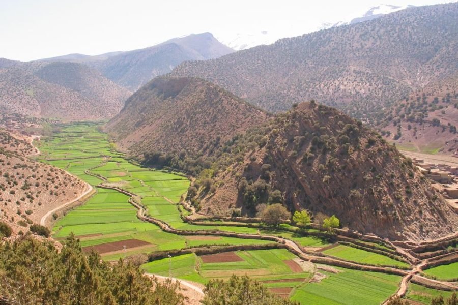 10 Days Trekking: Ait Bougmaz and Zaouiat Ahensal