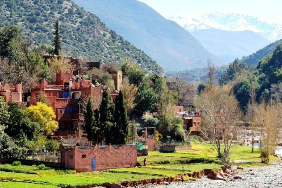 Day Trip to Ourika Valley