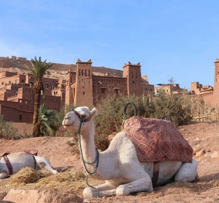 Day Trip to Ait Benhaddou