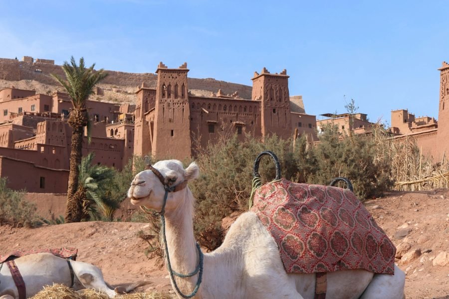 Day Trip to Ait Benhaddou